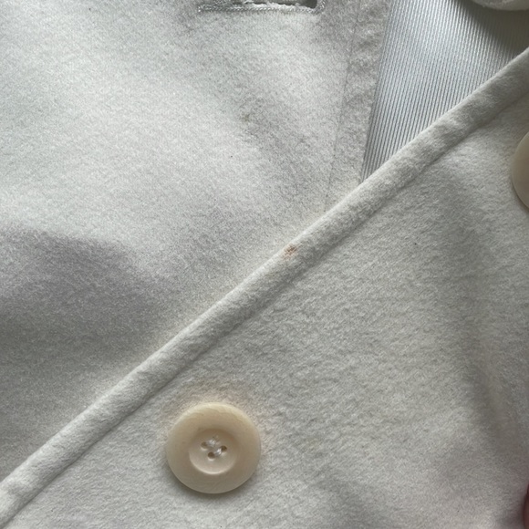 Aritzia Babaton Cashmere Wool Coat - Picture 13 of 14